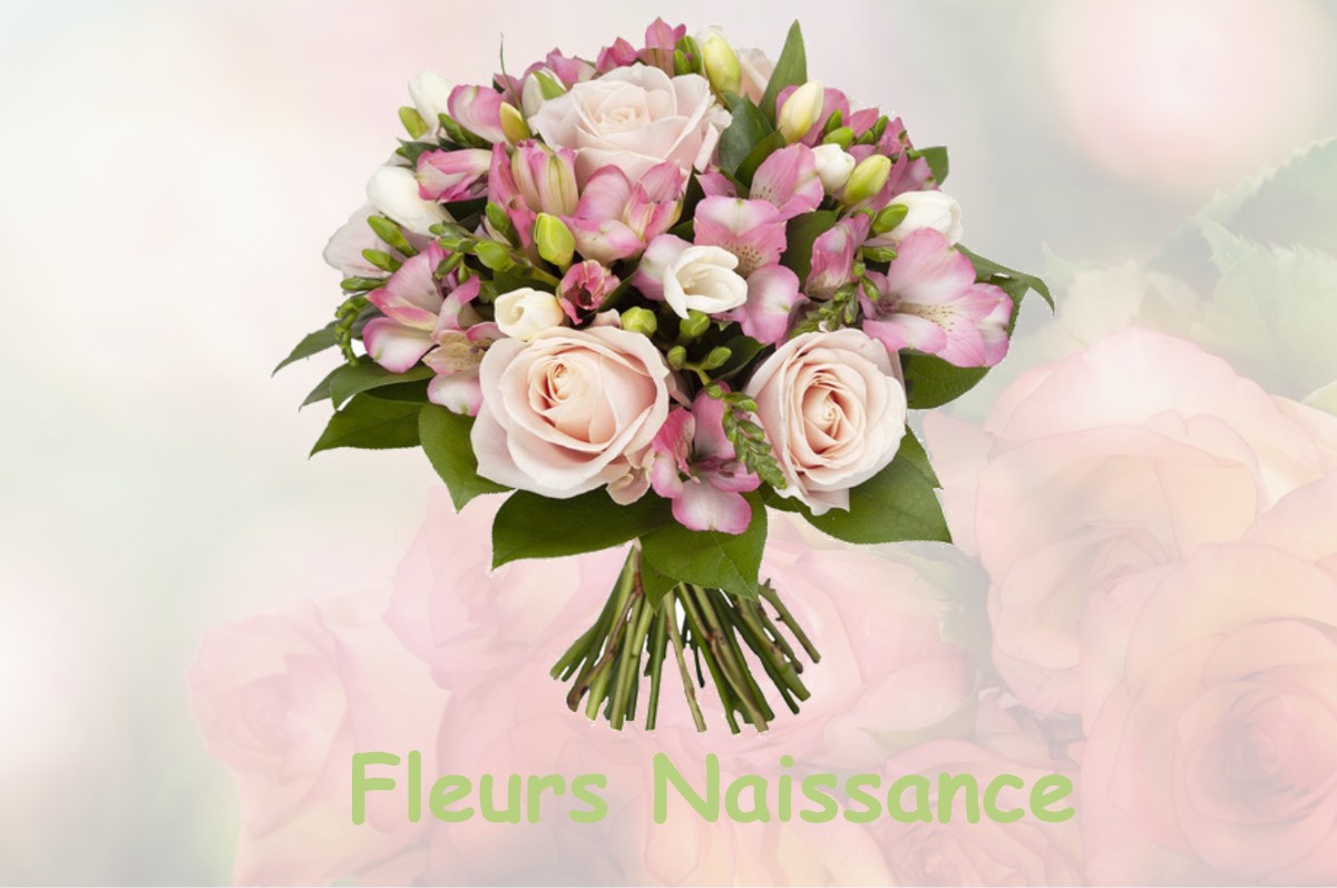 fleurs naissance ORVEAU-BELLESAUVE