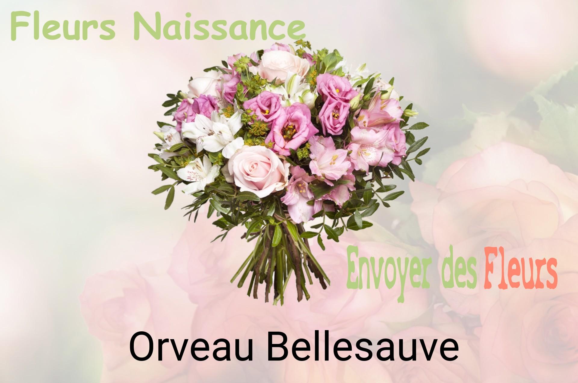 Bouquet de fleurs de naissance livré à Orveau-Bellesauve