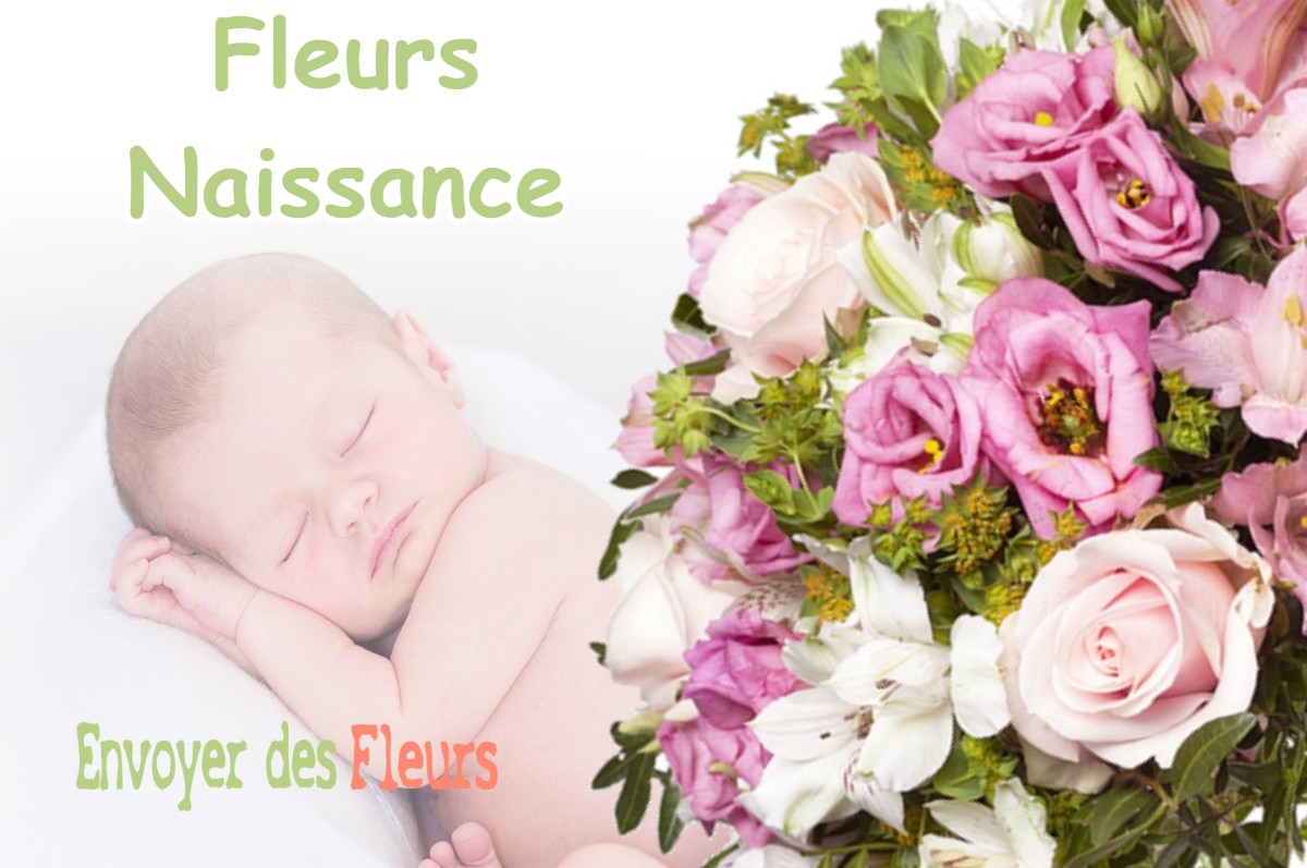 lIVRAISON FLEURS NAISSANCE à ORVEAU-BELLESAUVE