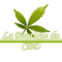 LA BOUTIQUE DU CBD ORVEAU-BELLESAUVE 