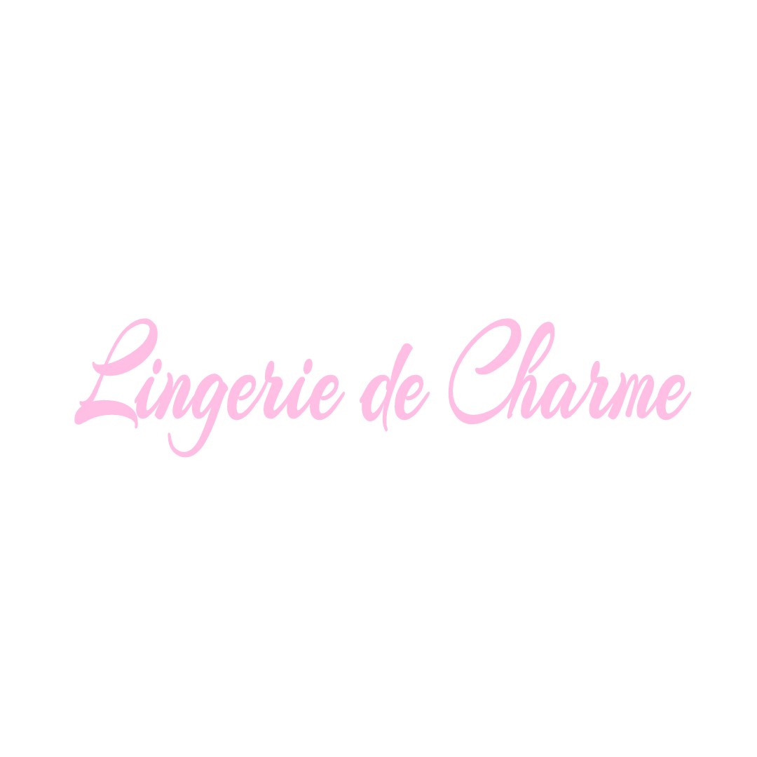 LINGERIE DE CHARME ORVEAU-BELLESAUVE