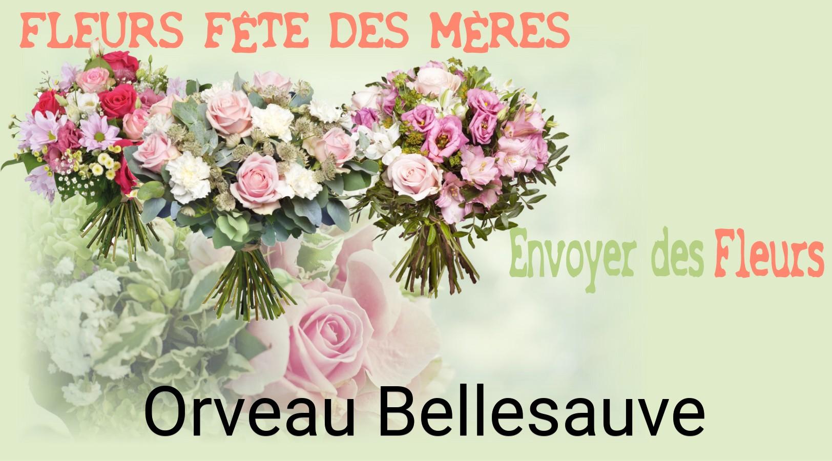 Bouquet de Fête des Mères livré à Orveau-Bellesauve